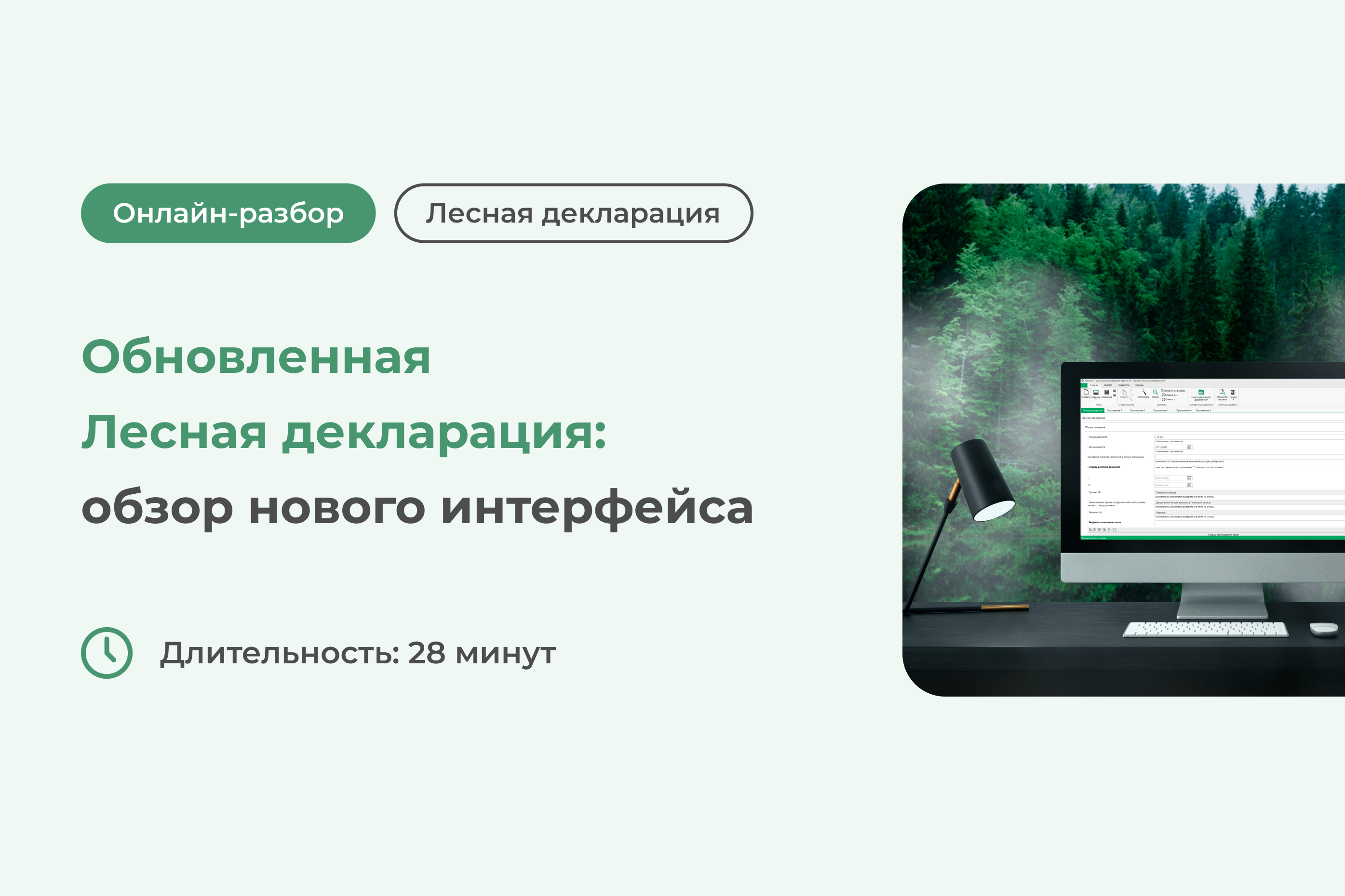 Обновленная Лесная декларация: обзор нового интерфейса
